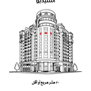 تنظيف عام شقة استوديو